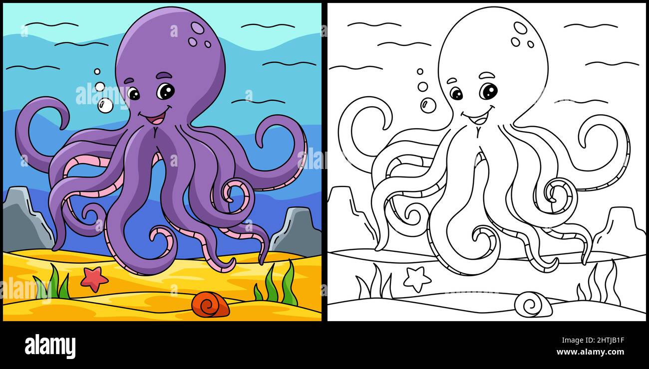 Octopus coloring page colored illustration stock vector image art