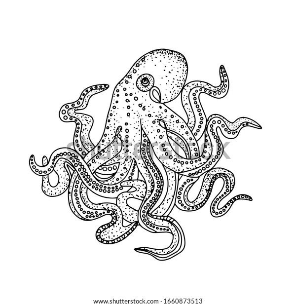 Octopus coloring book children adults poulpe stock vector royalty free