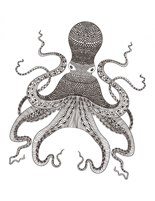 Octopus coloring page