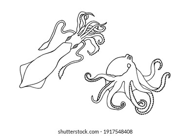 Octopus outline drawing images stock photos d objects vectors