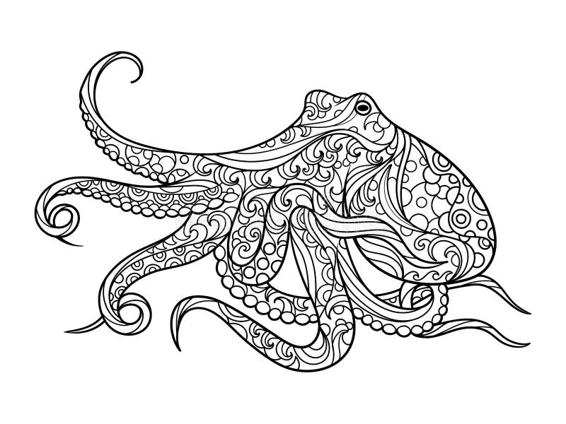 Octopus coloring book for adults vector stock vector
