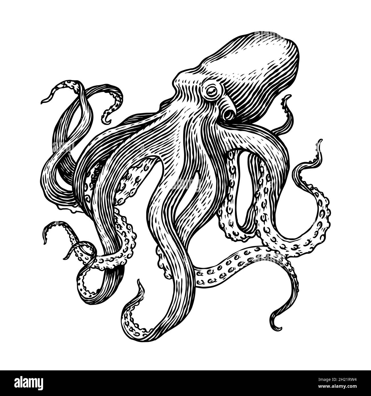 Sea octopus engraved hand drawn in old sketch vintage creature nautical or marine monster animal in the ocean template for logos labels and stock vector image art