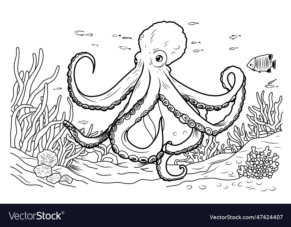 Octopus coloring book page simple line royalty free vector