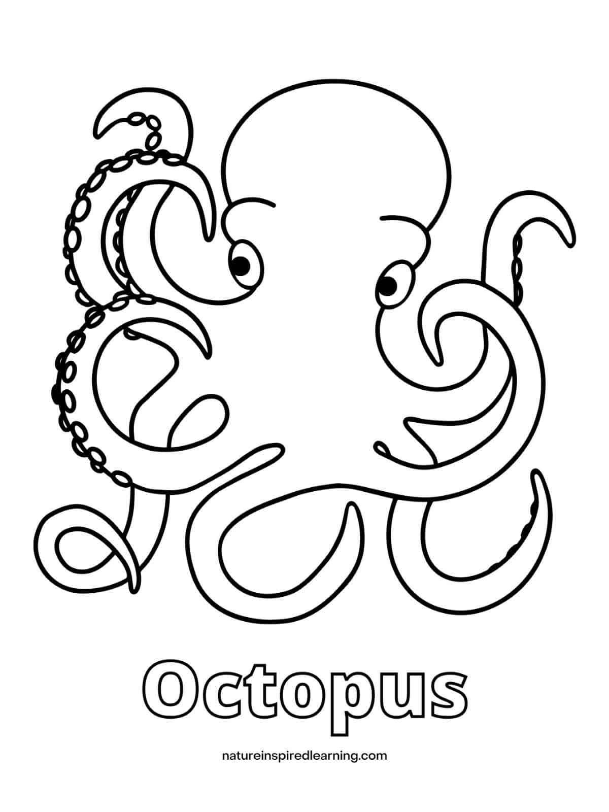 Octopus coloring pages