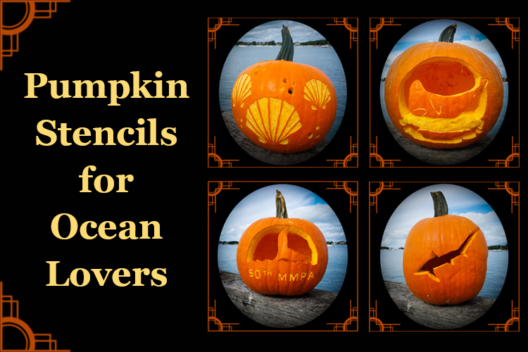 Halloween pumpkin carving stencils