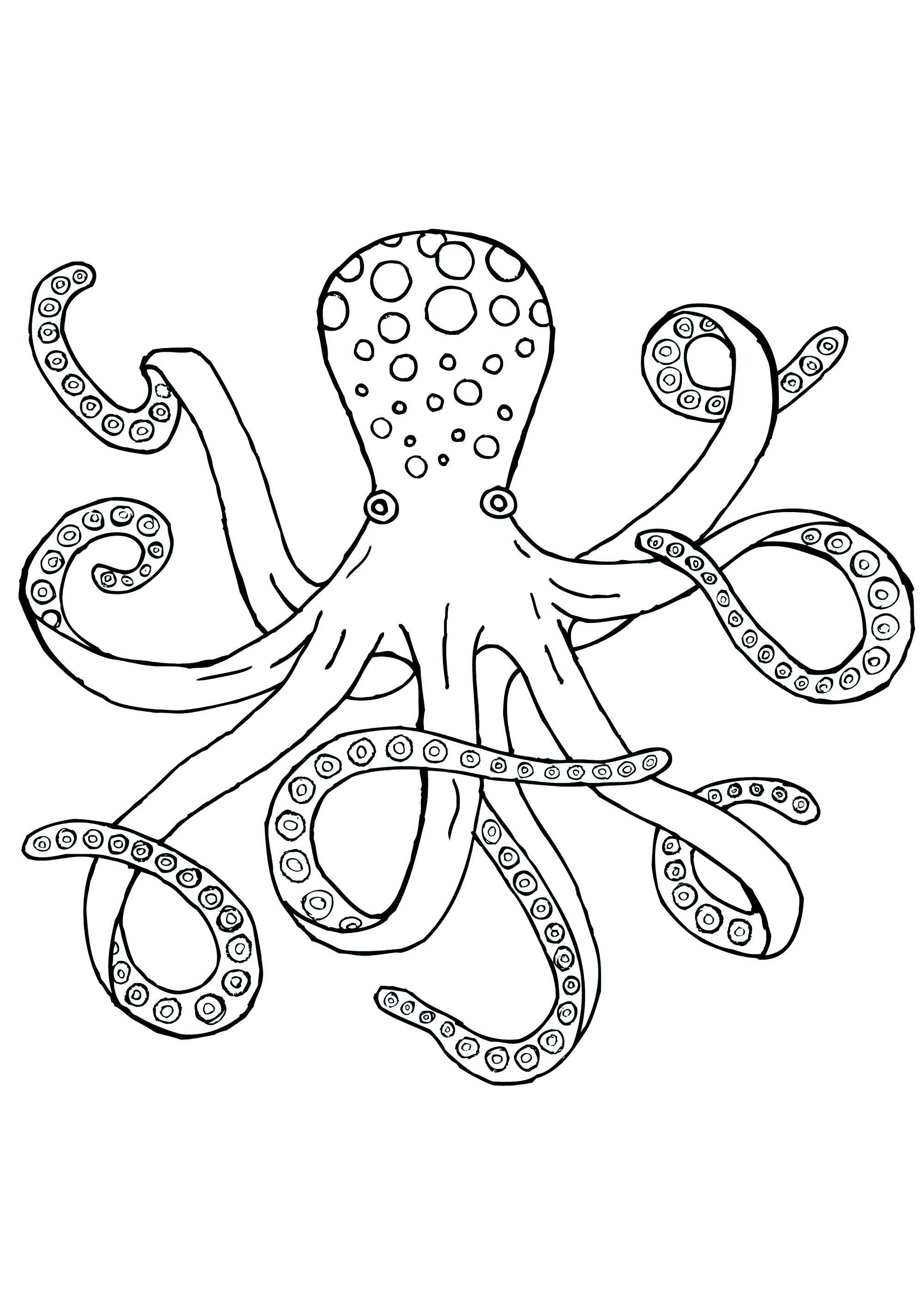Octopuses to download