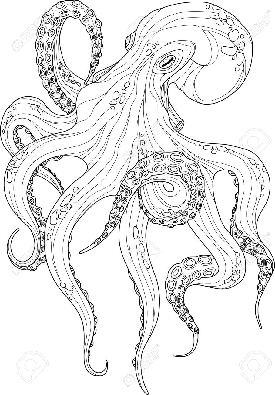 Cute realistic octopus fish sketch template cartoon graphic animal vector illustration in black and white for games background pattern decor marine coloring paper page story royalty free svg cliparts vectors and stock