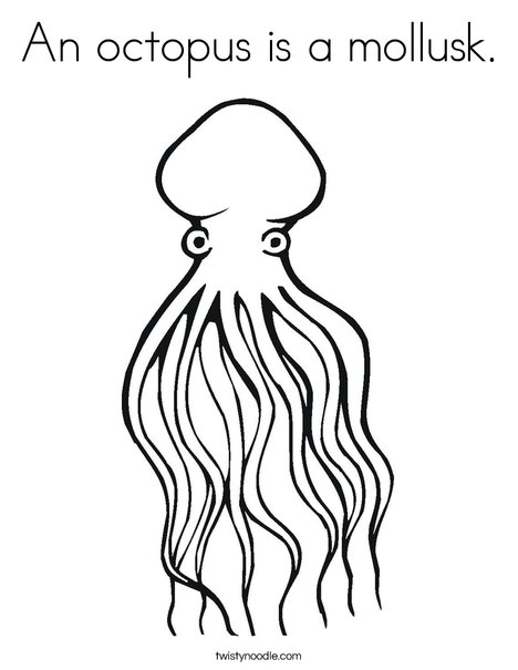 An octopus is a mollusk coloring page