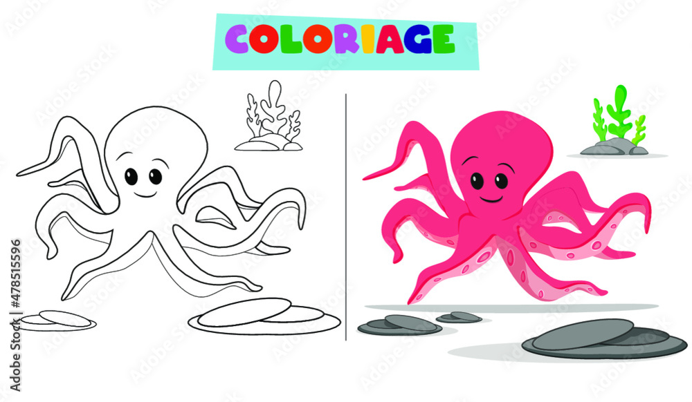Linear drawing octopus with coloring design on white background with coloring template child years vector