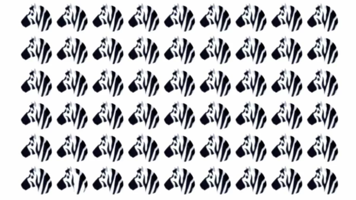 Brain teaser picture puzzle find odd one out among zebras in seconds