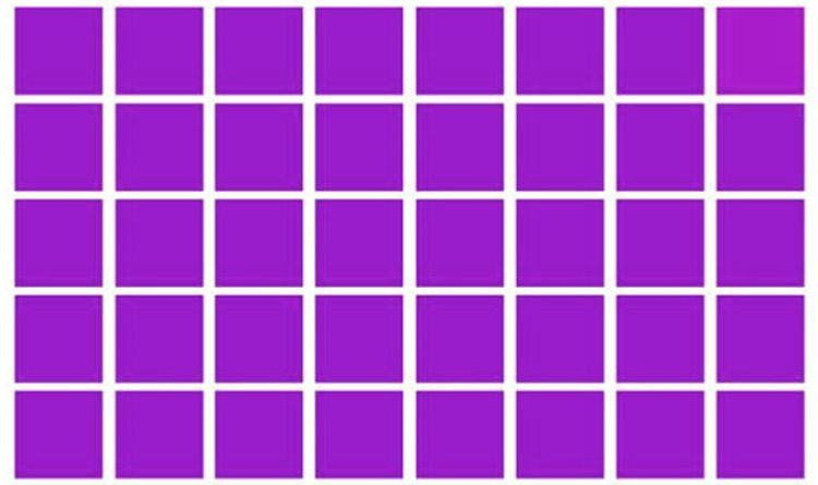 Brain test can you spot the odd one out in this image picture puzzle