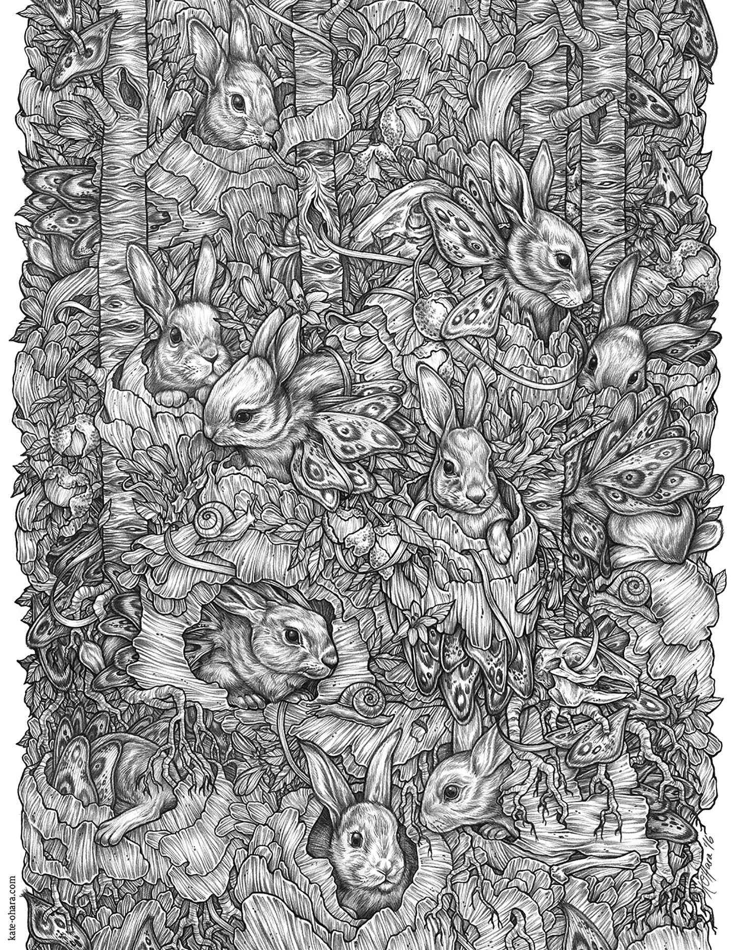 Bunnerflies â kate ohara