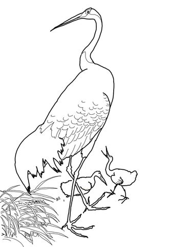 Japanese red crowned crane by ohara koson coloring page free printable coloring pages red