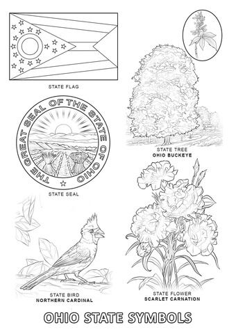 Ohio state symbols coloring page free printable coloring pages state symbols free printable coloring pages printable coloring pages
