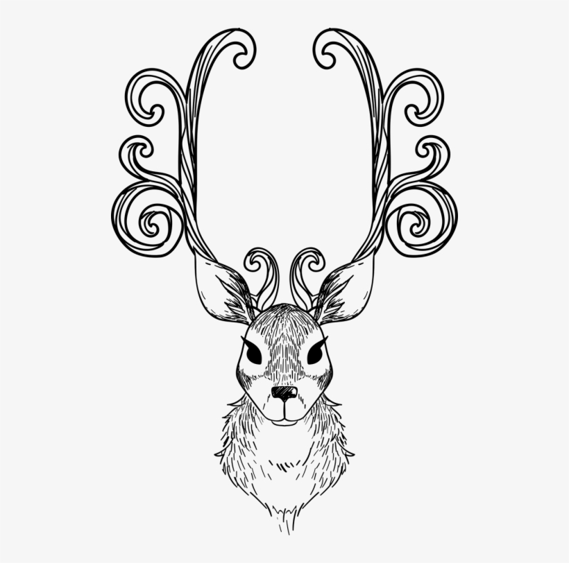 Vector