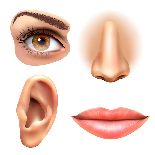 Free vector eye ear lips nose icons set