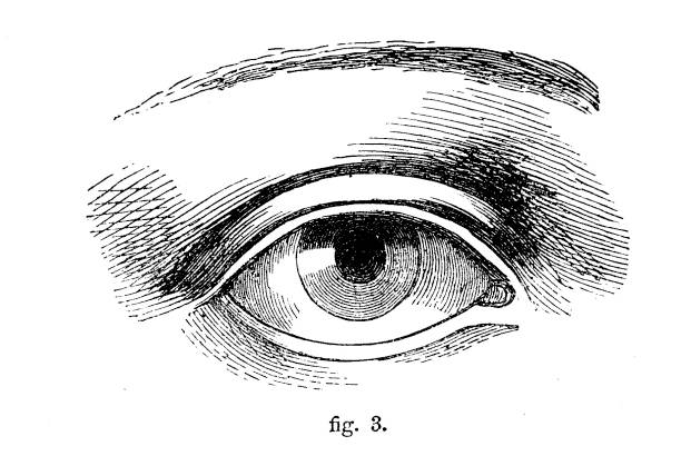 Human eye drawing stock photos pictures royalty