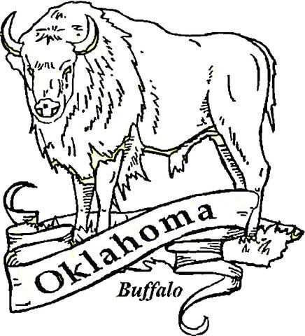 Buffalo oklahoma coloring page from oklahoma category select from printable crafts of cartoons â coloring pages bird coloring pages super coloring pages