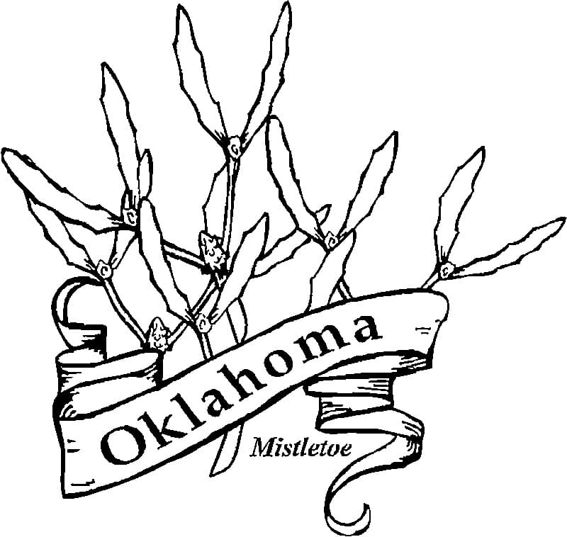 Oklahoma flower coloring page