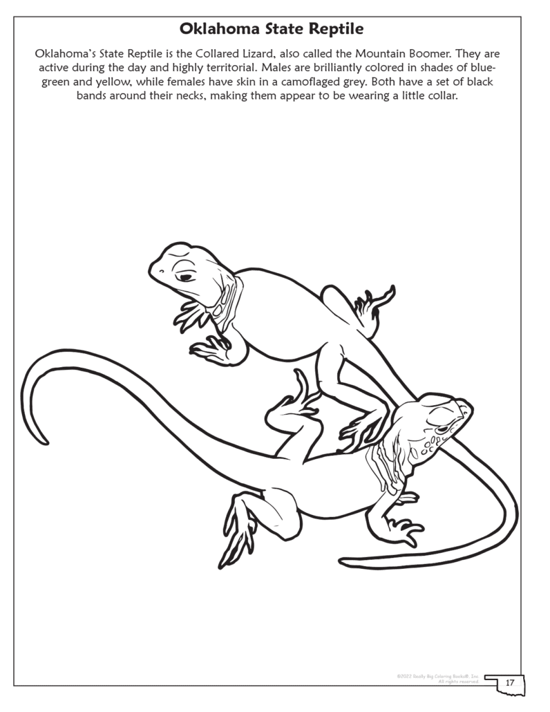 Oklahoma state coloring book