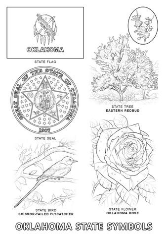 Oklahoma state symbols coloring page free printable coloring pages state symbols flag coloring pages oklahoma art