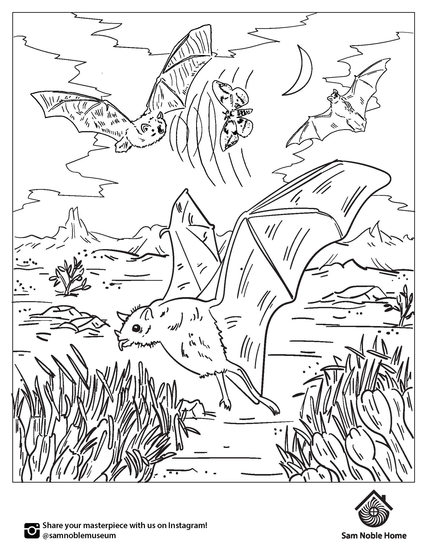 Coloring pages