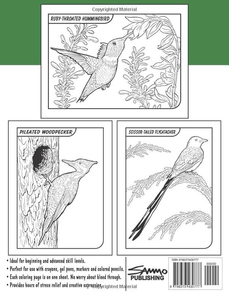Birds of oklahoma loring book for kids teens adults a llection of mmon unique birds of oklahoma for bird watchers to identify and lor morrison sam books