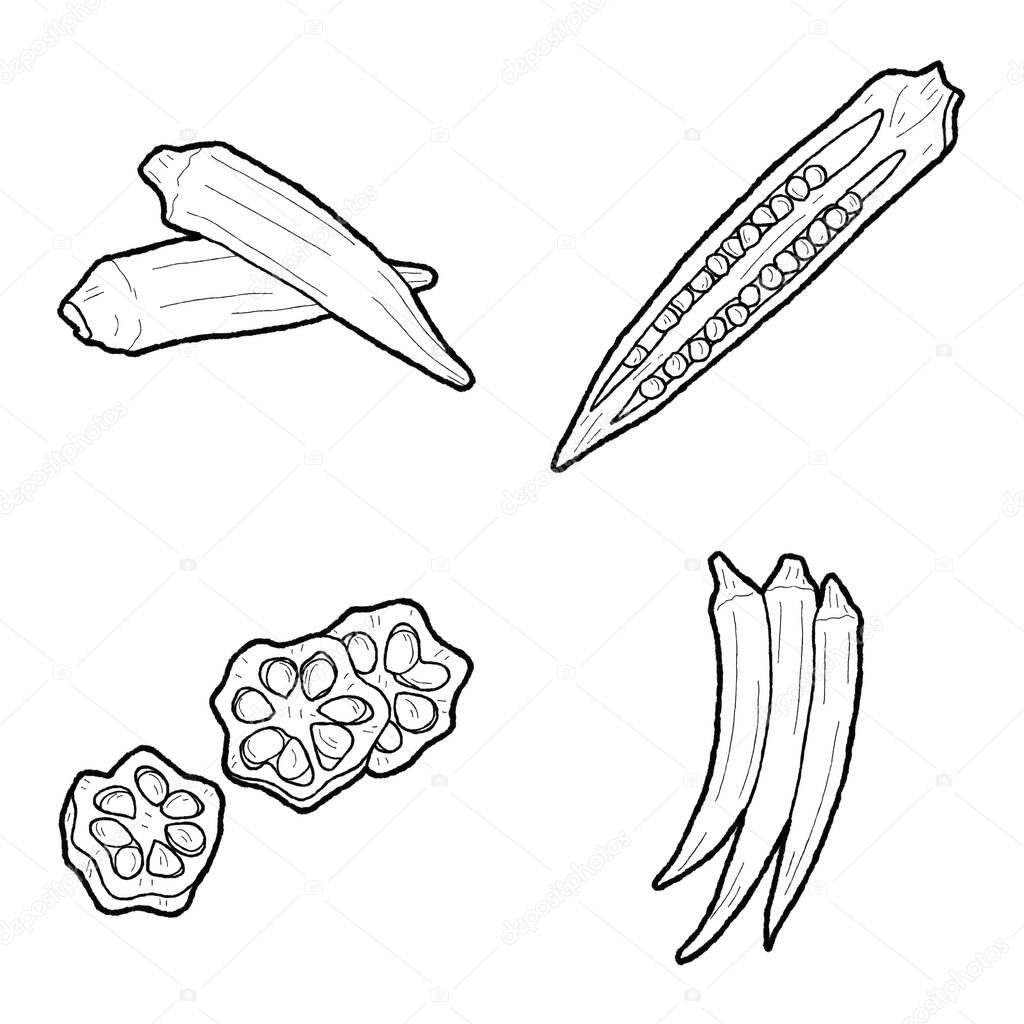 Coloring pages illustration okra vector illustration hand drawn coloring pages