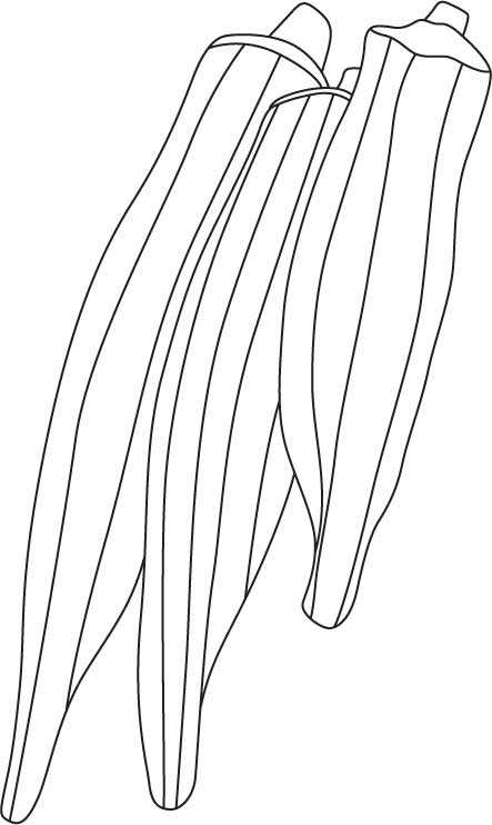 Bhindi coloring page download free bhindi coloring page for kids best coloring pages