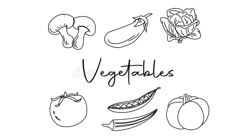 Drawing okra stock illustrations â drawing okra stock illustrations vectors clipart
