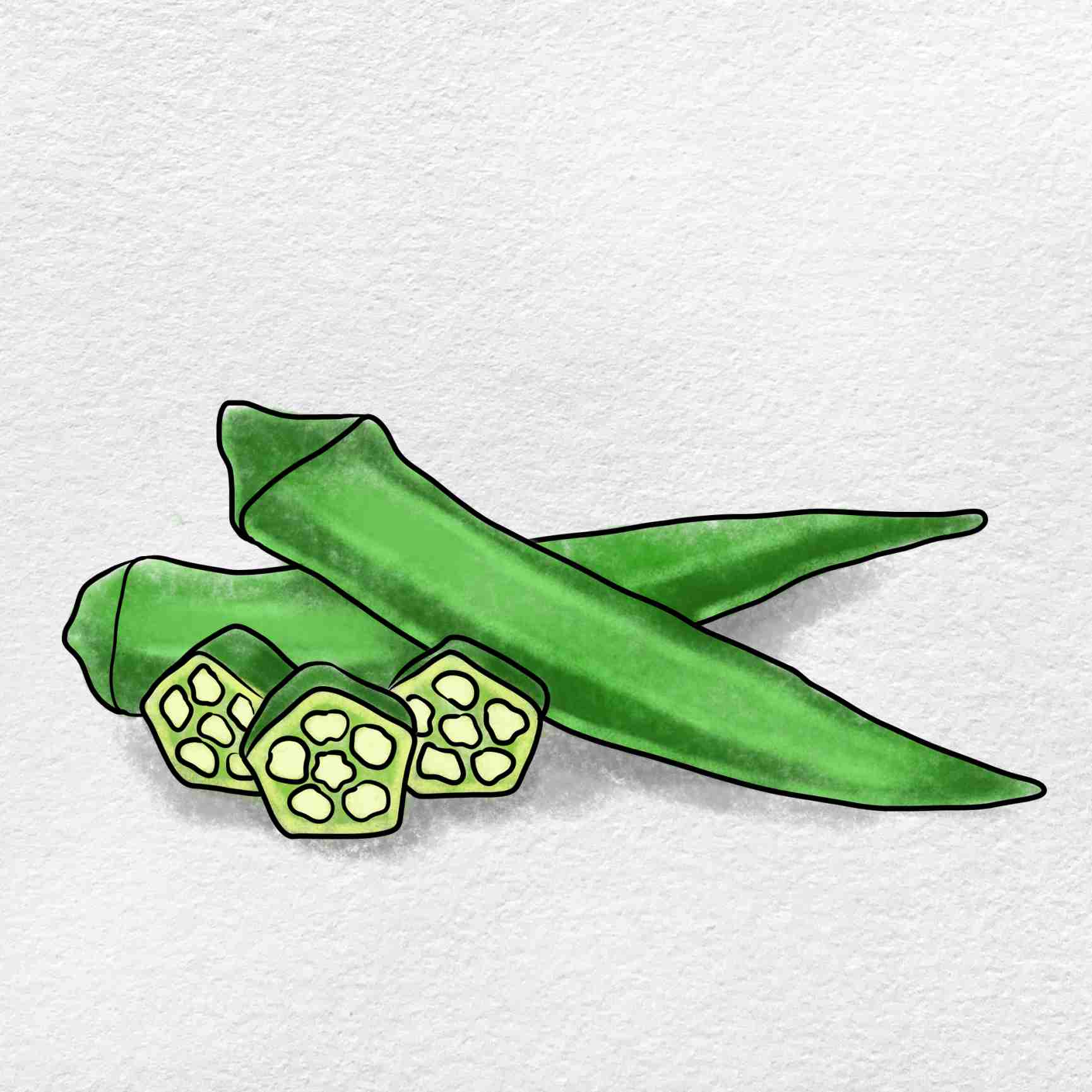 Okra drawing