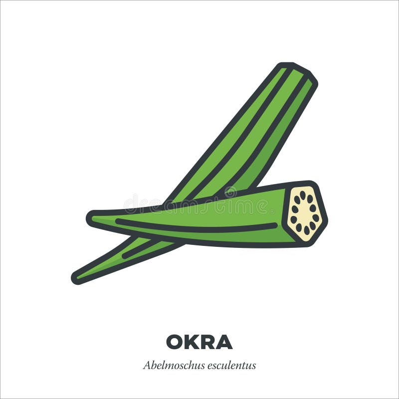 Okra outline stock illustrations â okra outline stock illustrations vectors clipart