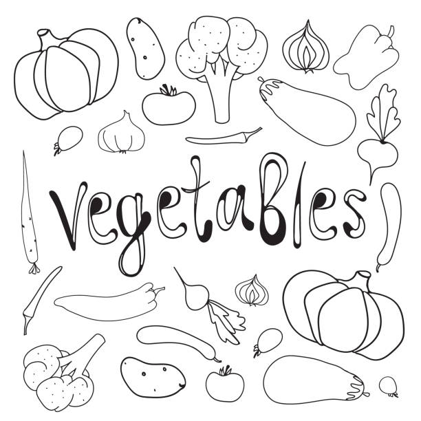 Okra plant cartoon stock illustrations royalty