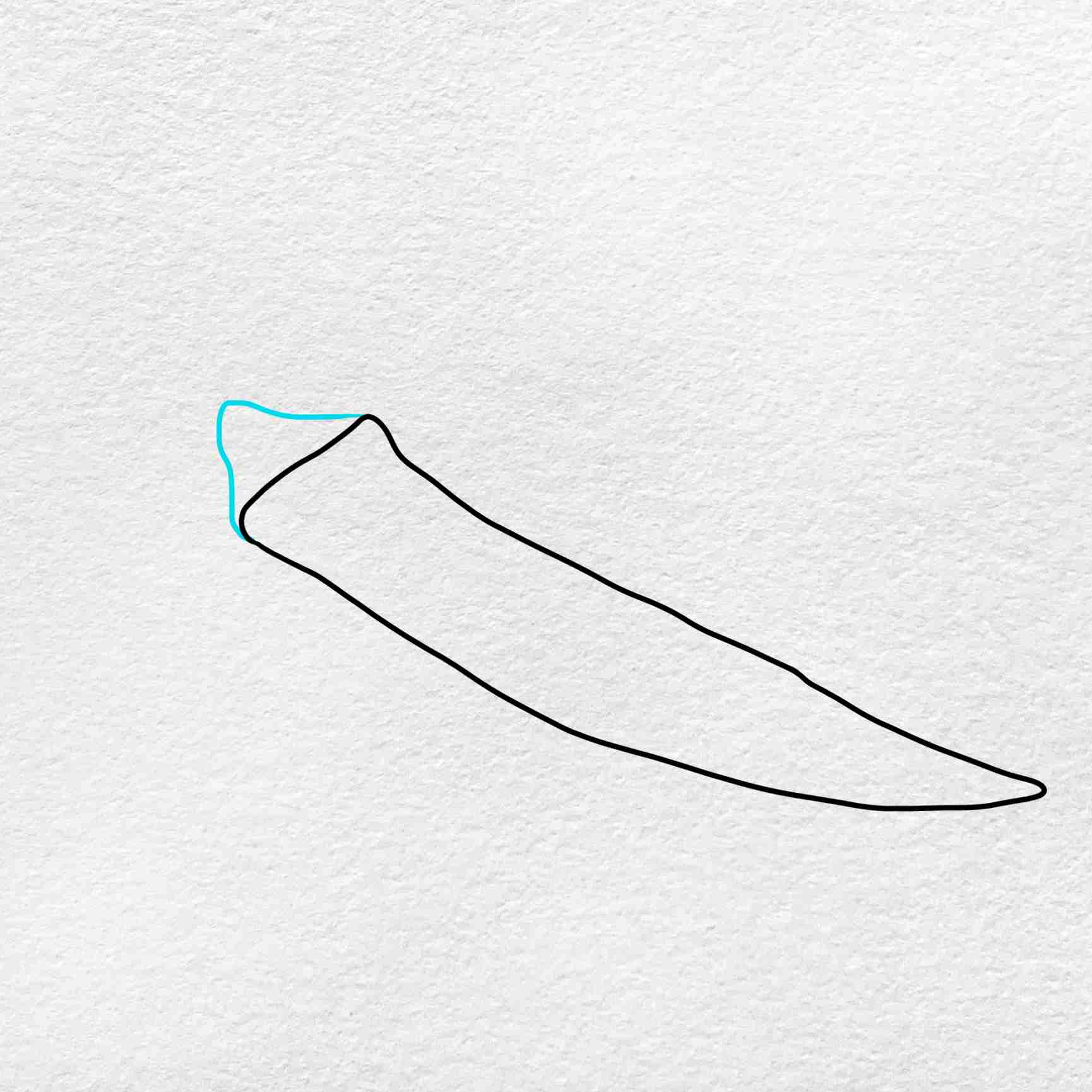Okra drawing