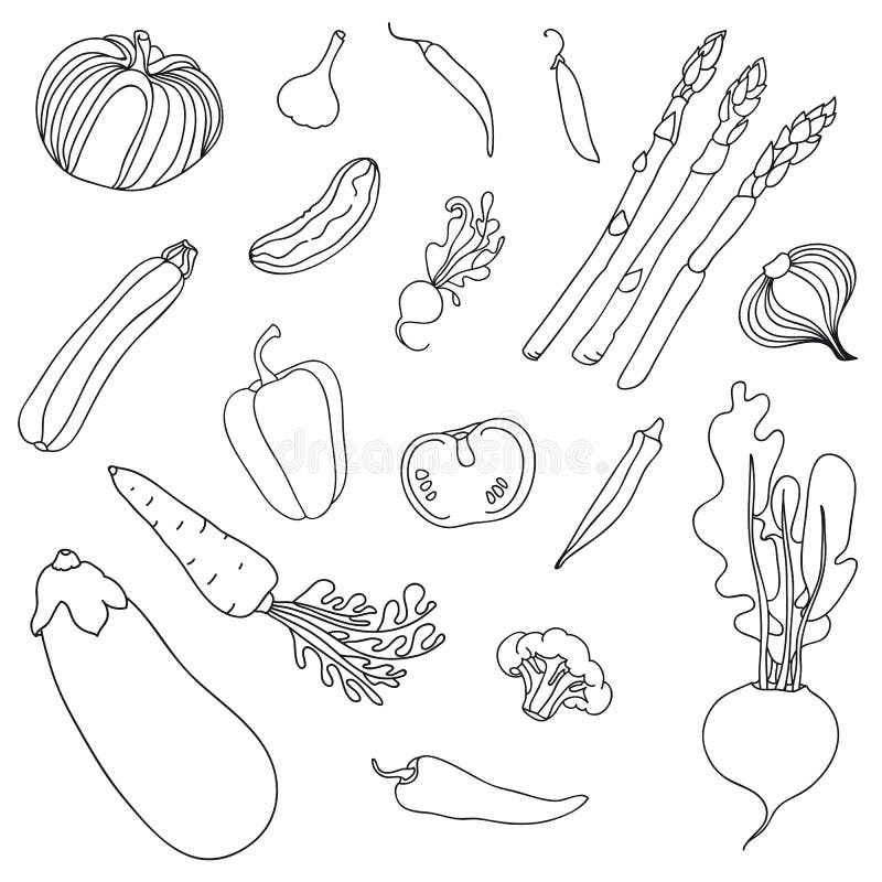 Vegetarian menu eggplant tomato beets peas pepper zucchini radish cucumber broccoli garlic onions carrots okra asparagus stock vector