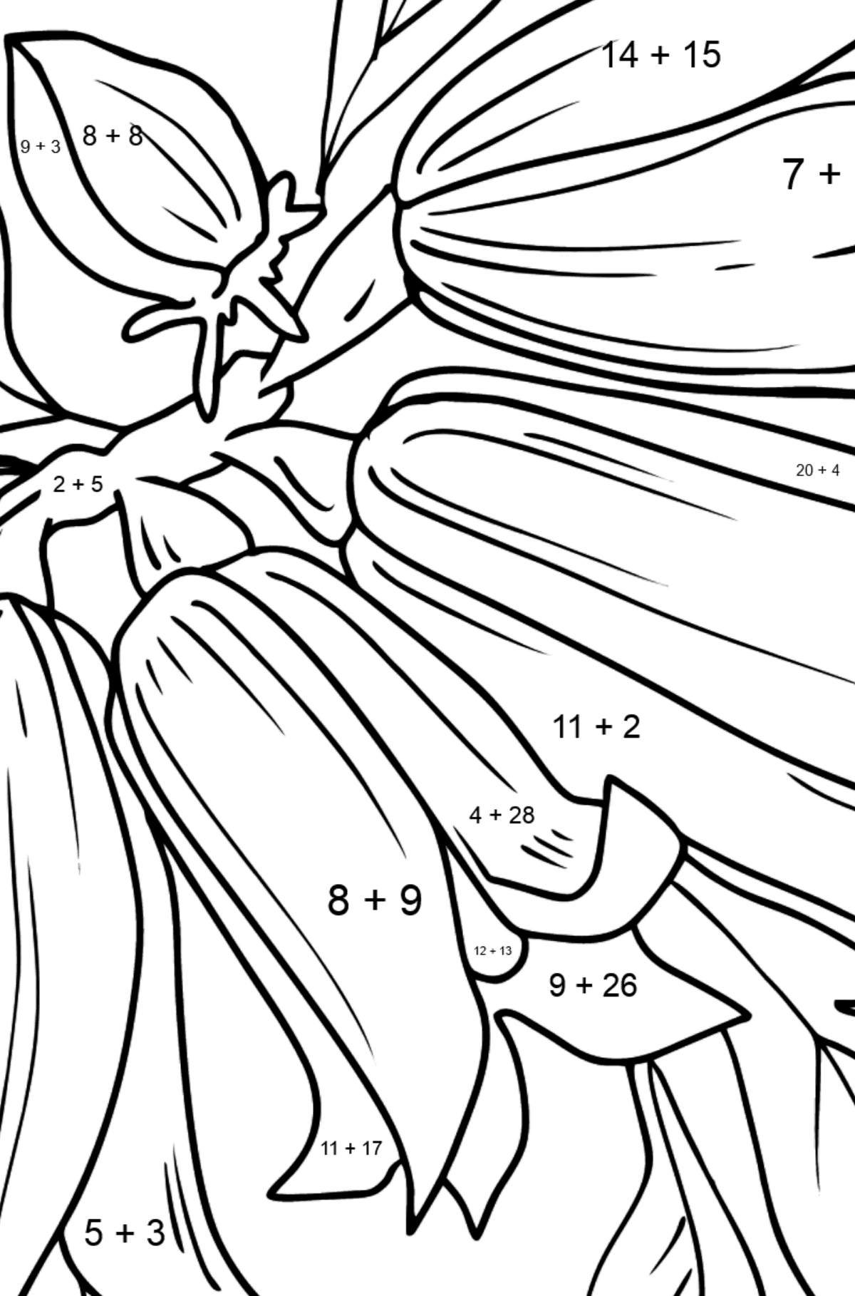 Flower coloring page