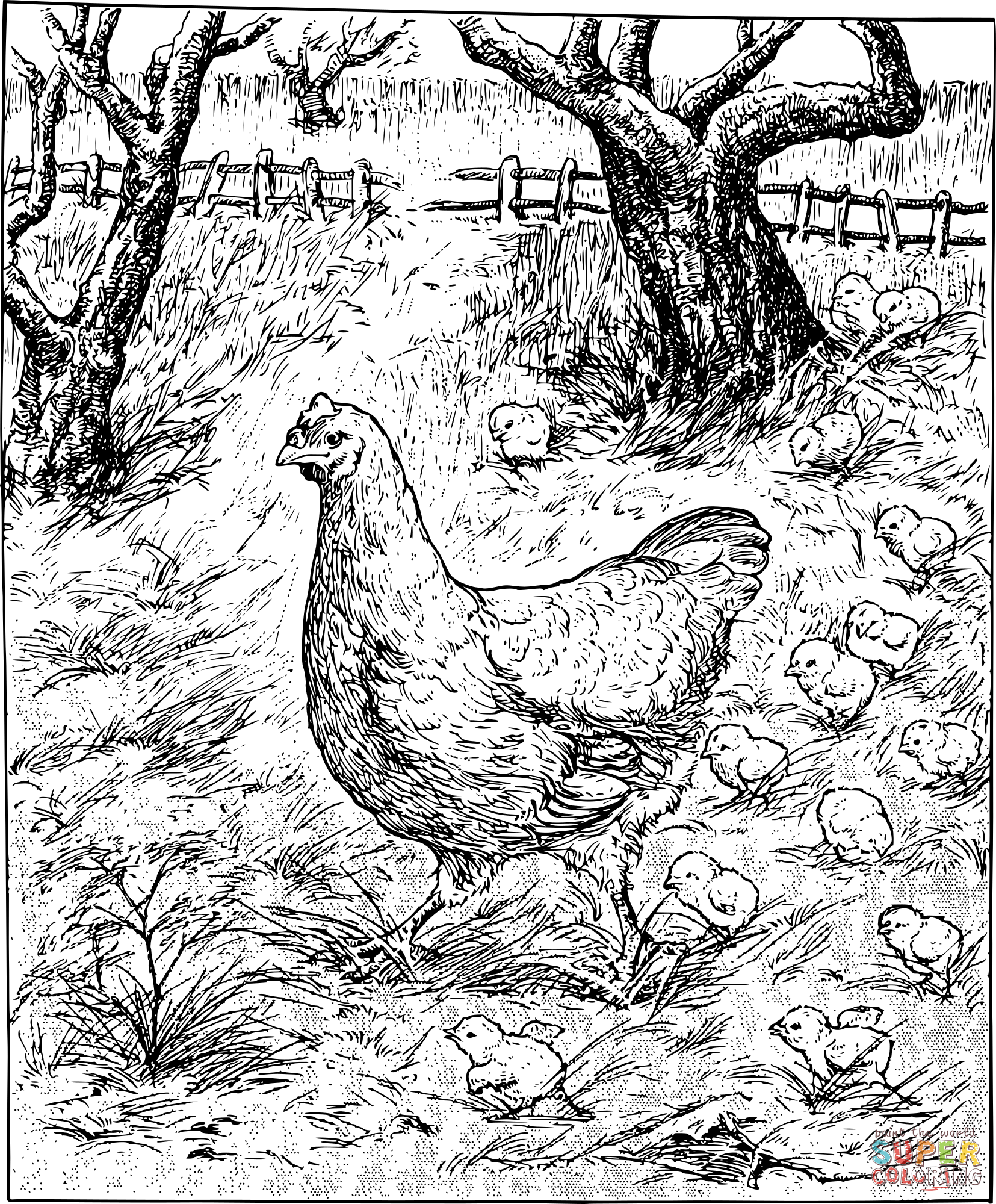 Vintage mother hen and chicks coloring page free printable coloring pages