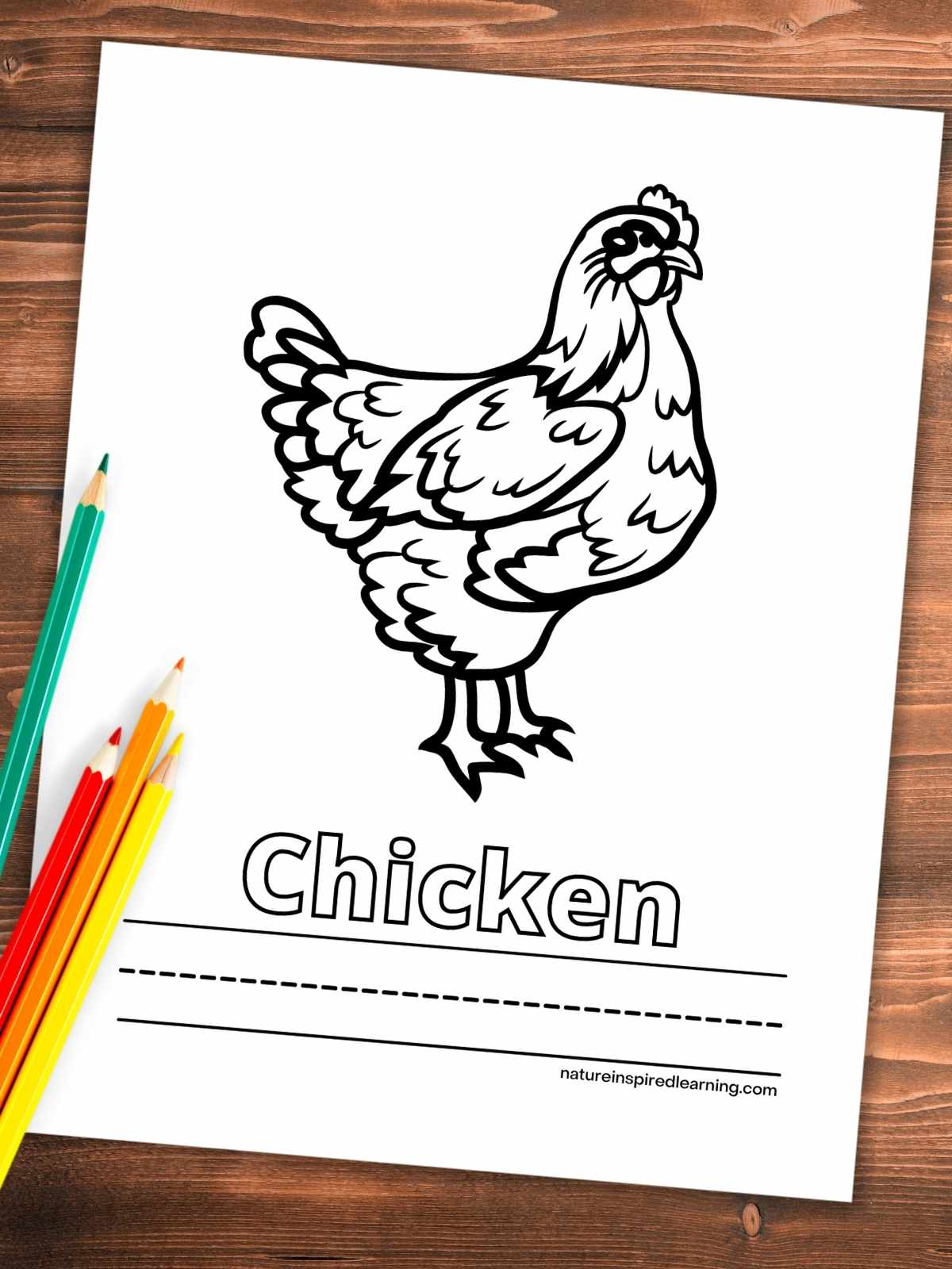 Adorable chicken coloring pages