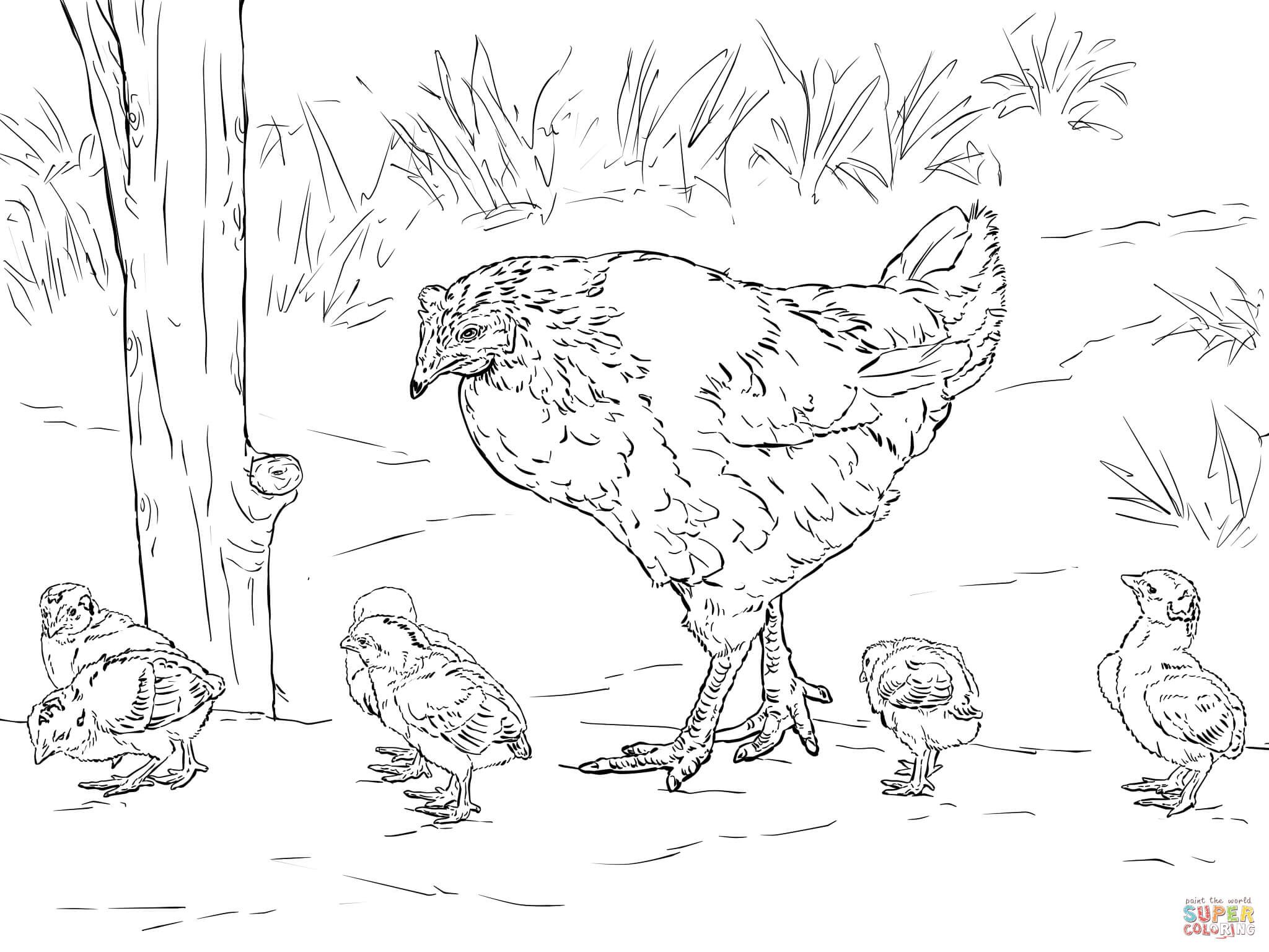 Hen sits on eggs coloring page free printable coloring pages bird coloring pages animal coloring pages chicken coloring pages