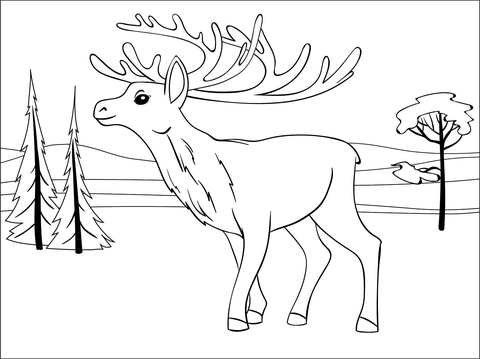 Reindeer coloring page free printable coloring pages