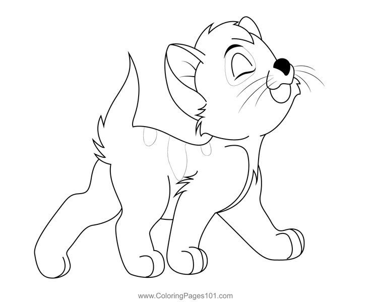 Walk little cat colorg page cat colorg page colorg pages oliver and pany
