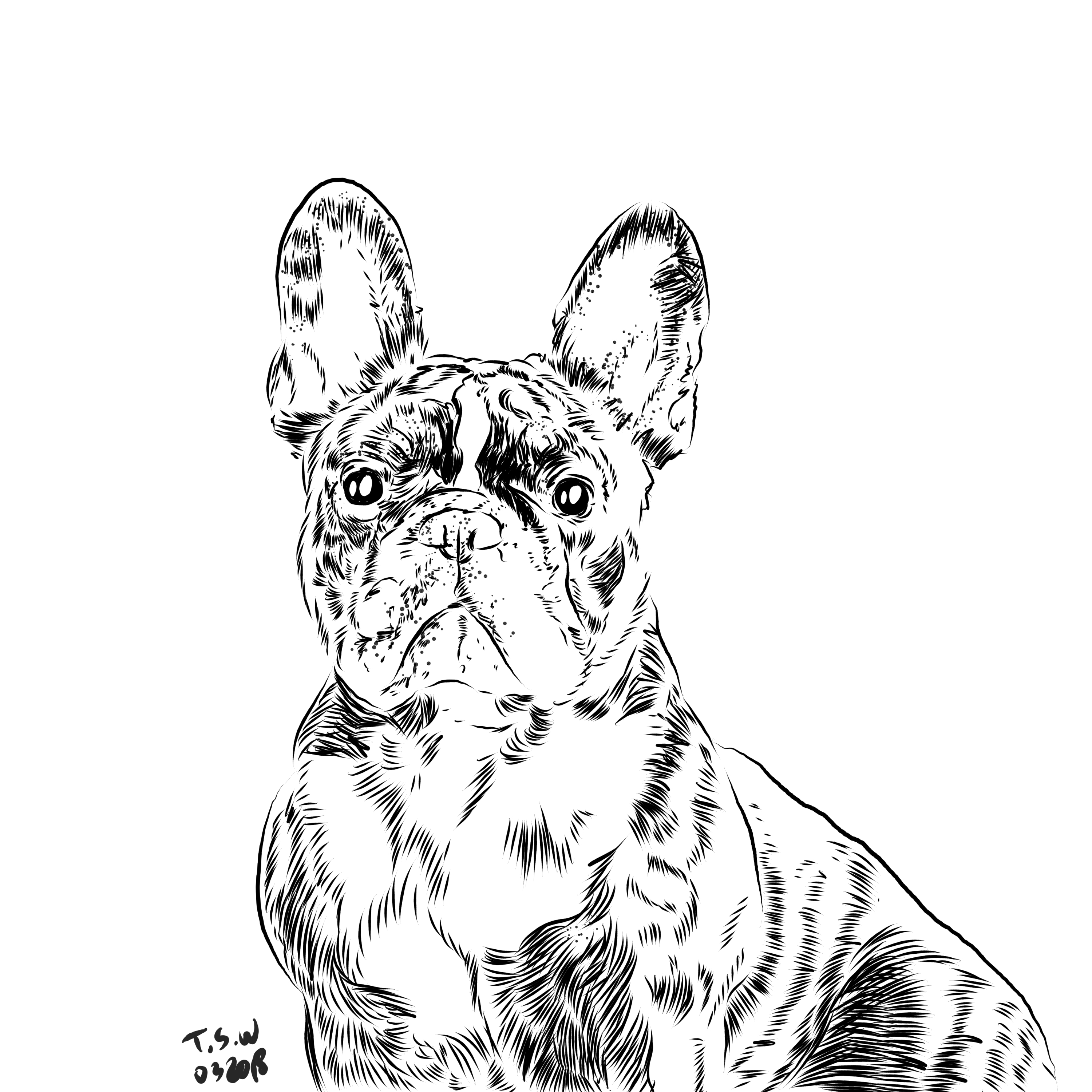Dog drawing olla â the space wanderer