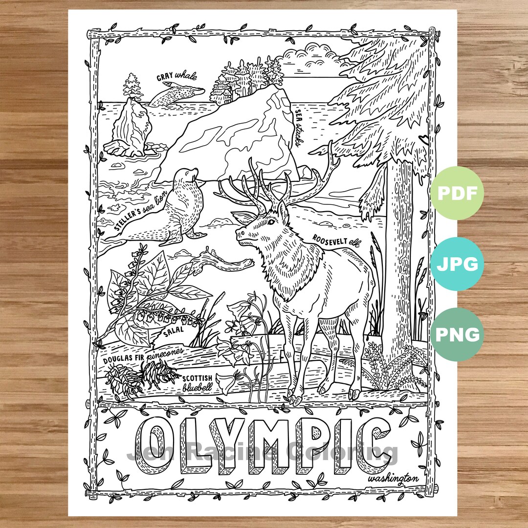 National park coloring page olympic washington national park landscape animal plant wildflower coloring page printable