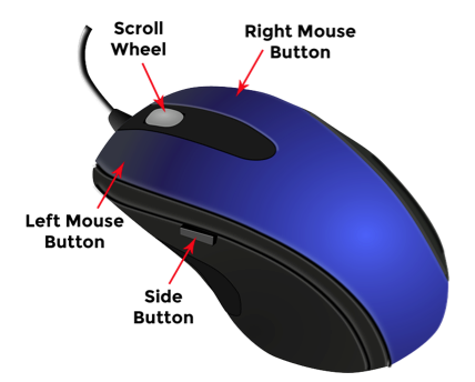 Different buttons on a computer mouse