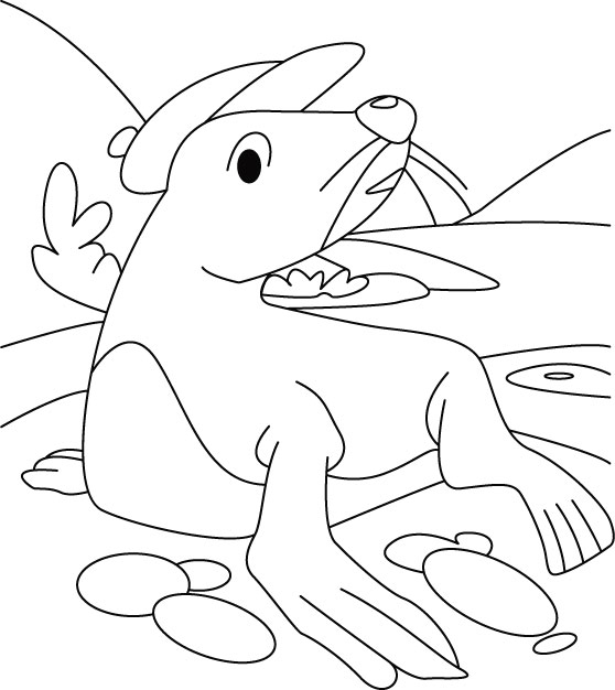 Mr seal alone thinker coloring pages download free mr seal alone thinker coloring pages for kids best coloring pages