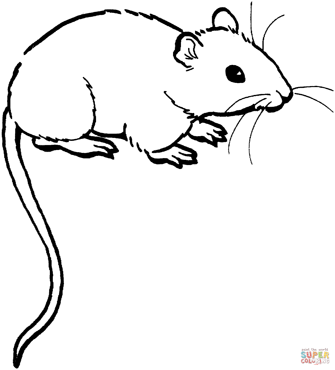 Mouse coloring page free printable coloring pages