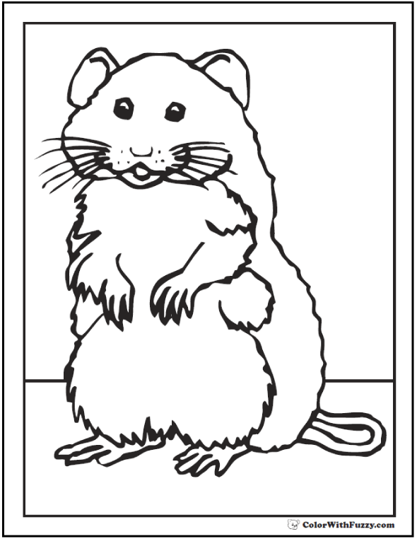 Mouse coloring pages to print and customize for kids