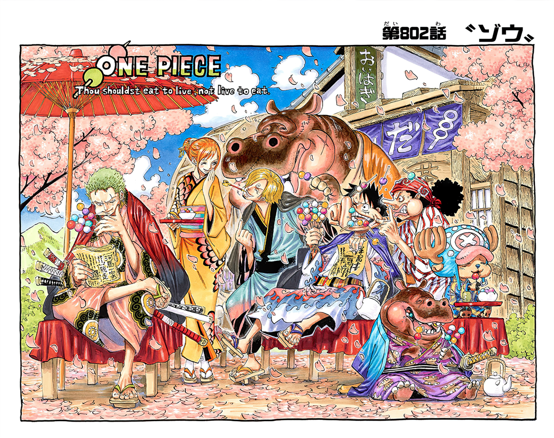 One piece manga colored cover page paper