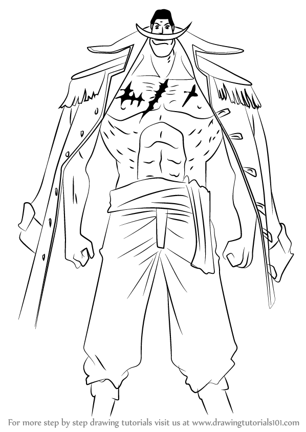 How to draw edward newgate aka whitebeard from one piece one piece step by step