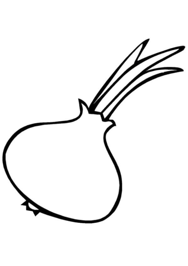 Onion coloring page